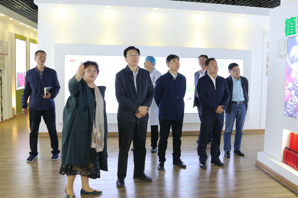 2020年11月2日省政府食安辦副主任，省市場(chǎng)監(jiān)督管理局副局長王建防到公司調(diào)研指導(dǎo)工作.JPG